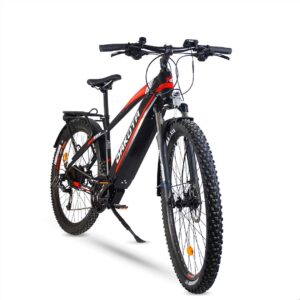 Urbanbiker Dakota FE