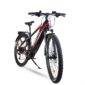 Urbanbiker Dakota FE