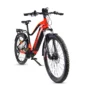 Urbanbiker-DakotaPLUS-FE