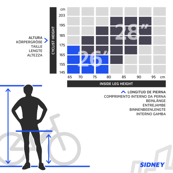 Urbanbiker Sidney | Elektrische Stadsfiets | 100KM Actieradius